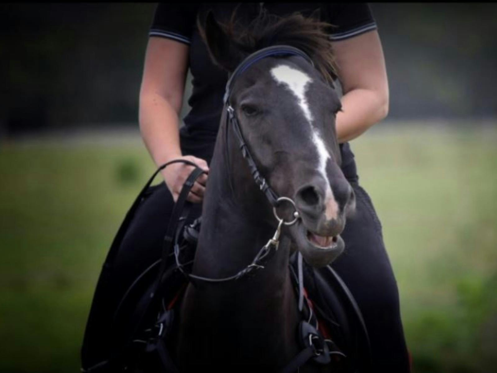 Brisbane Valley Retreat home of Equine Embrace