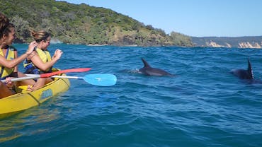 Epic Ocean Adventures Epic Ocean Adventures