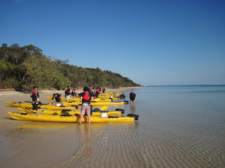 Group kayaks on beach