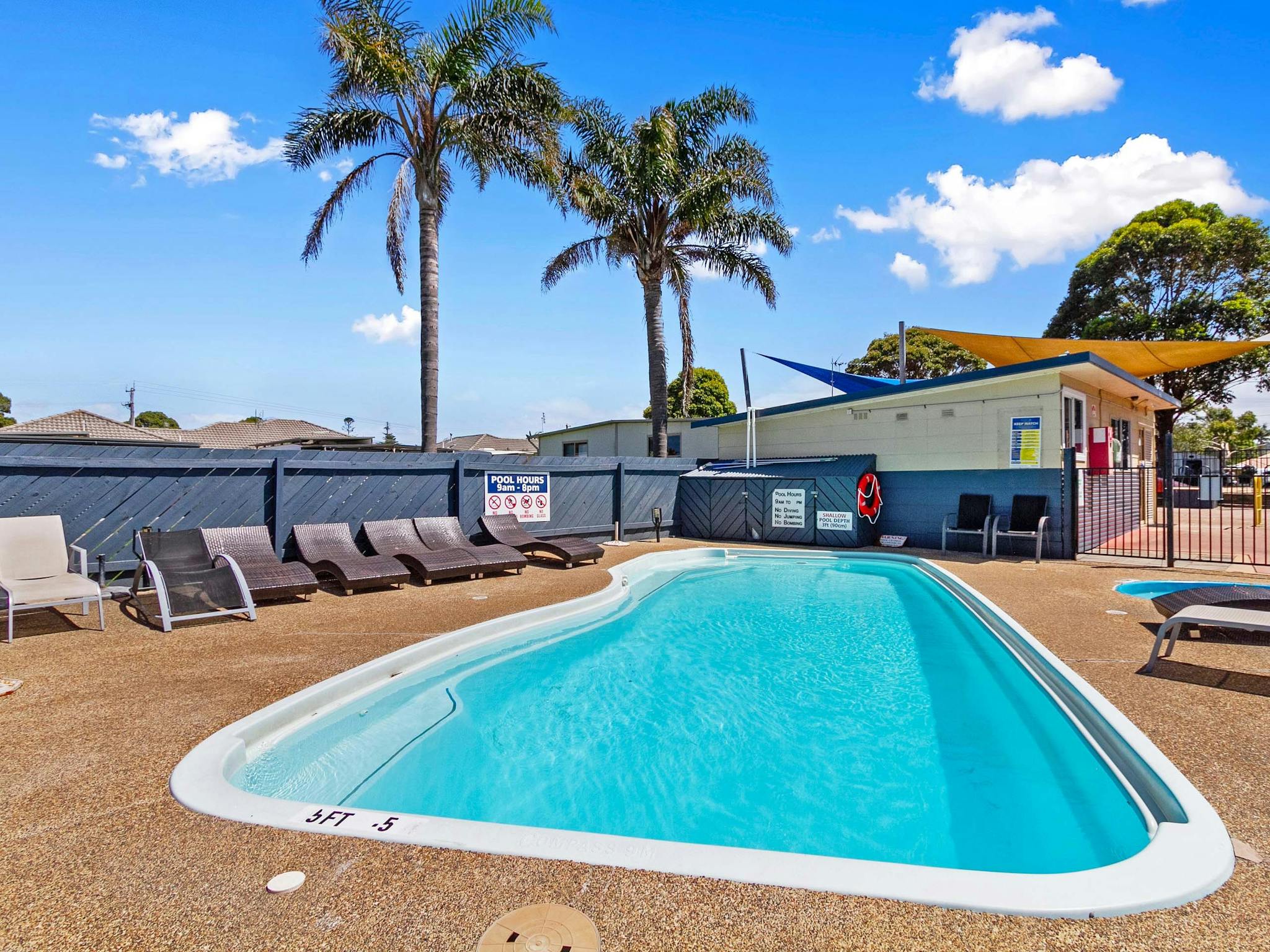 Sparkling blue swimming pool, with Palm Trees in the background and sun lounges in the foreground.