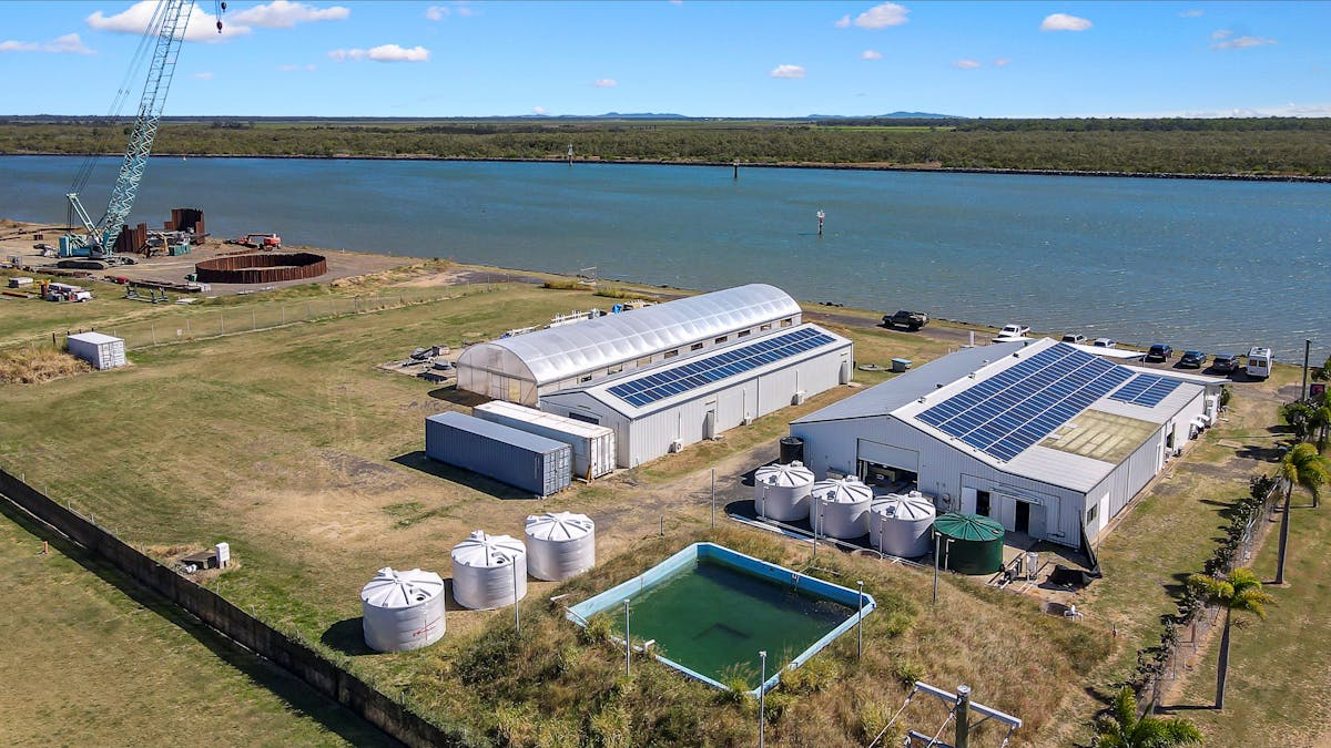 Aerial view of Australias largest coral farm Monsoon Aquatics Bundaberg