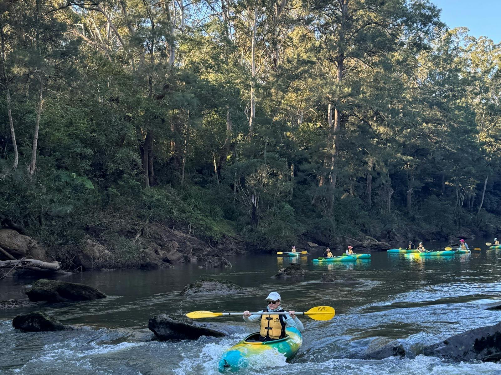 캥거루 밸리 강을 따라 그룹 카약 타기