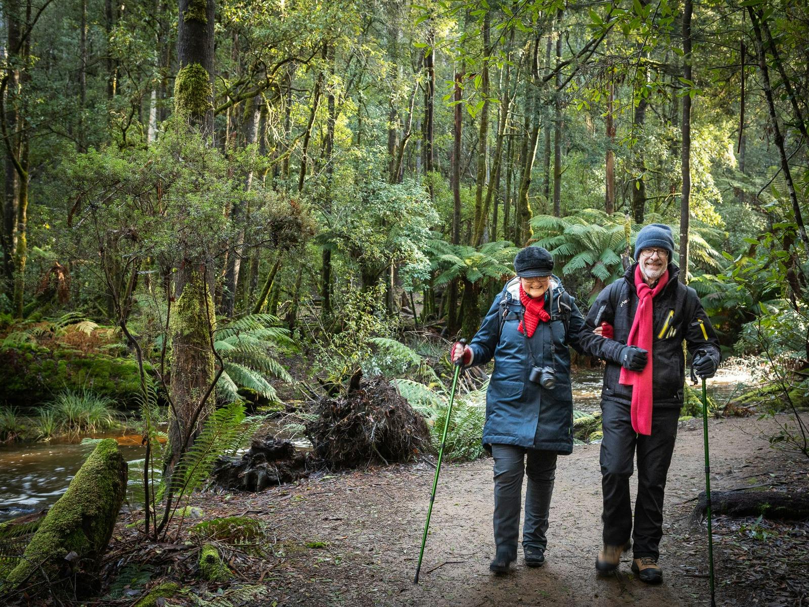 2 participations with Tall Tree Walks