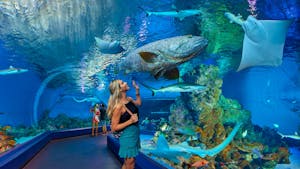 Cairns Aquarium Cairns Aquarium