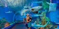 Cairns Aquarium Hero