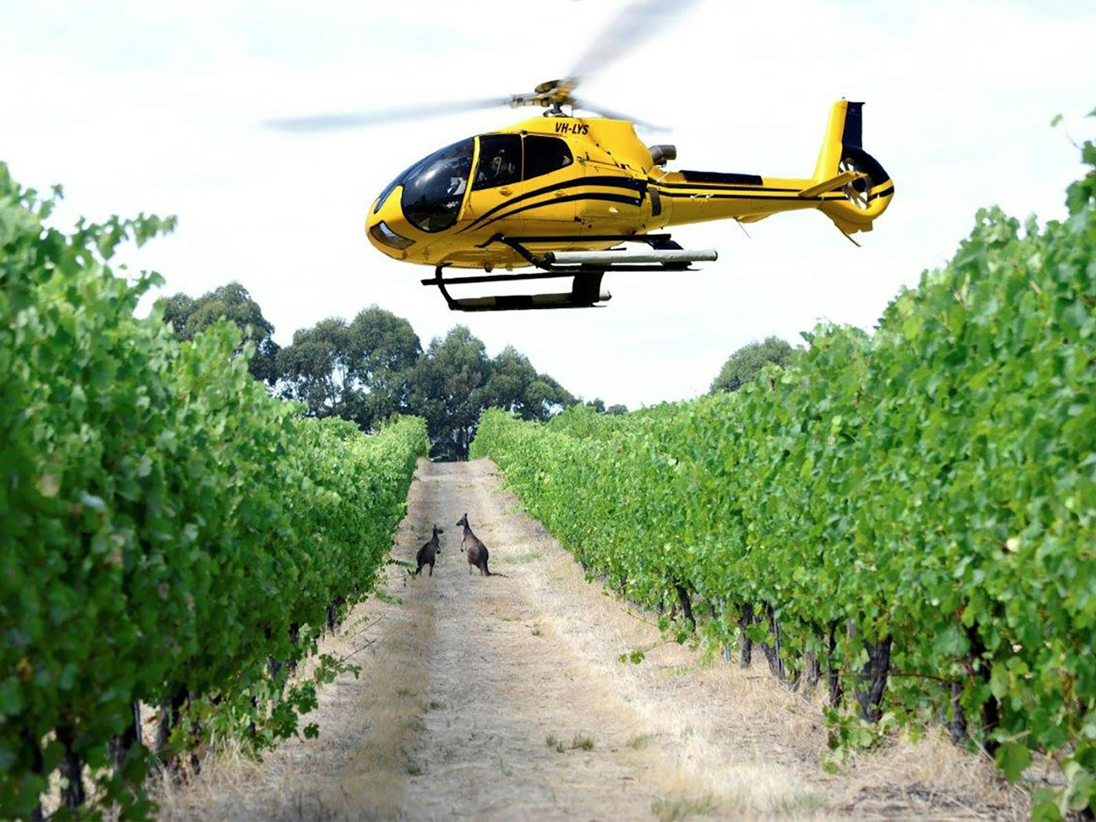Corsaire Aviation, Jandakot, Western Australia