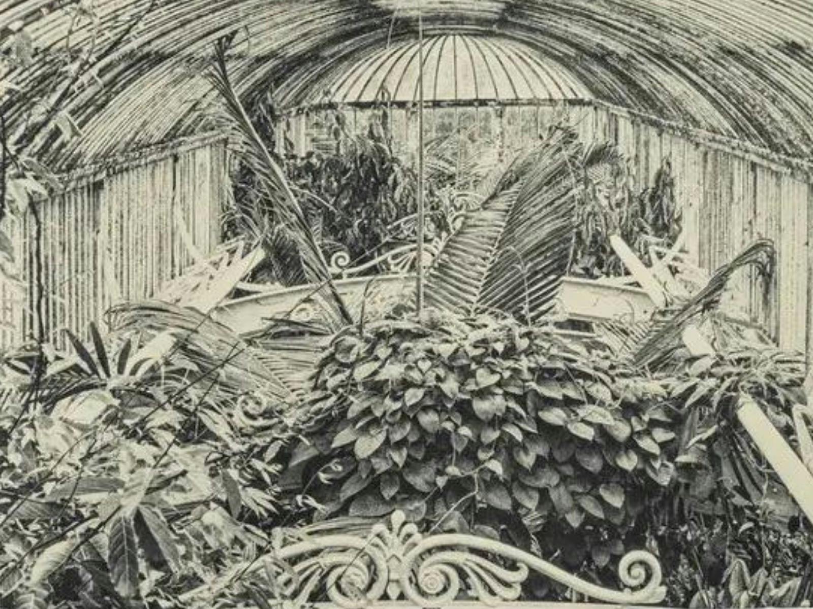 Black and white photogravure of a garden