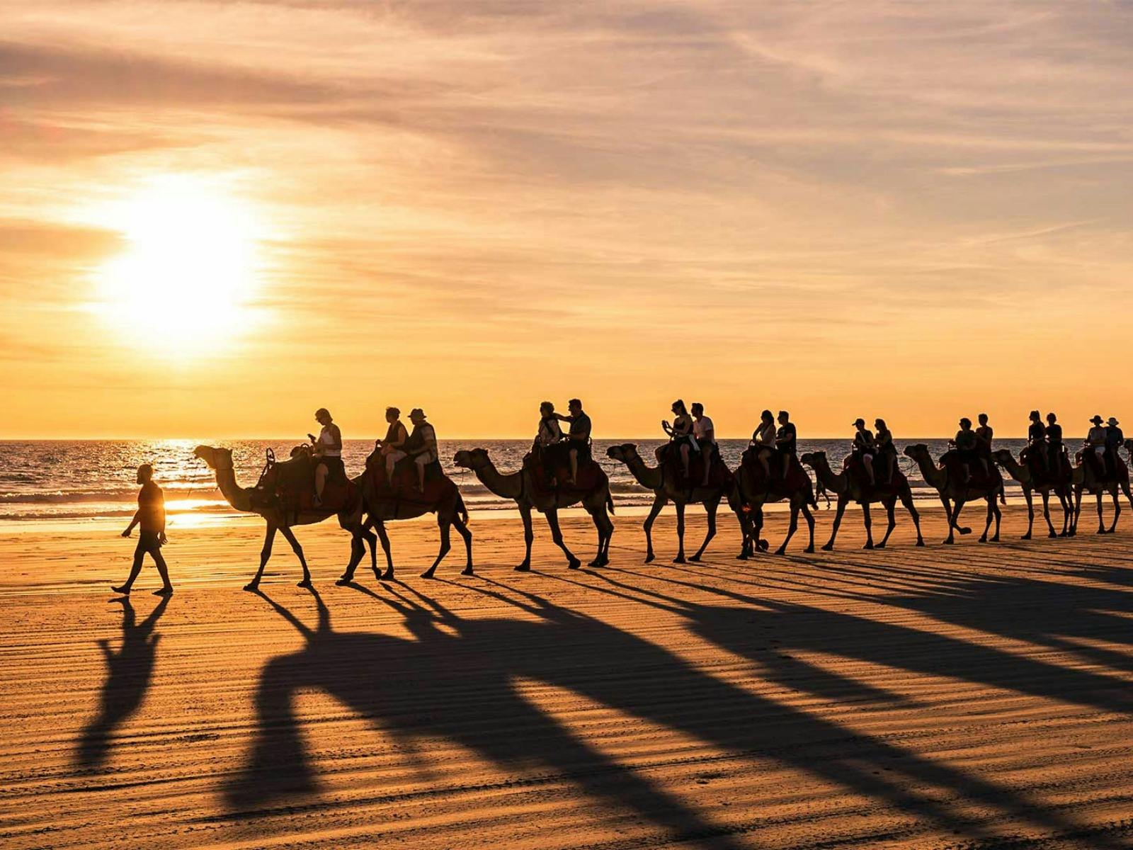 Ventur Atlas Sunset Camel Ride on Broome's Cable Beach