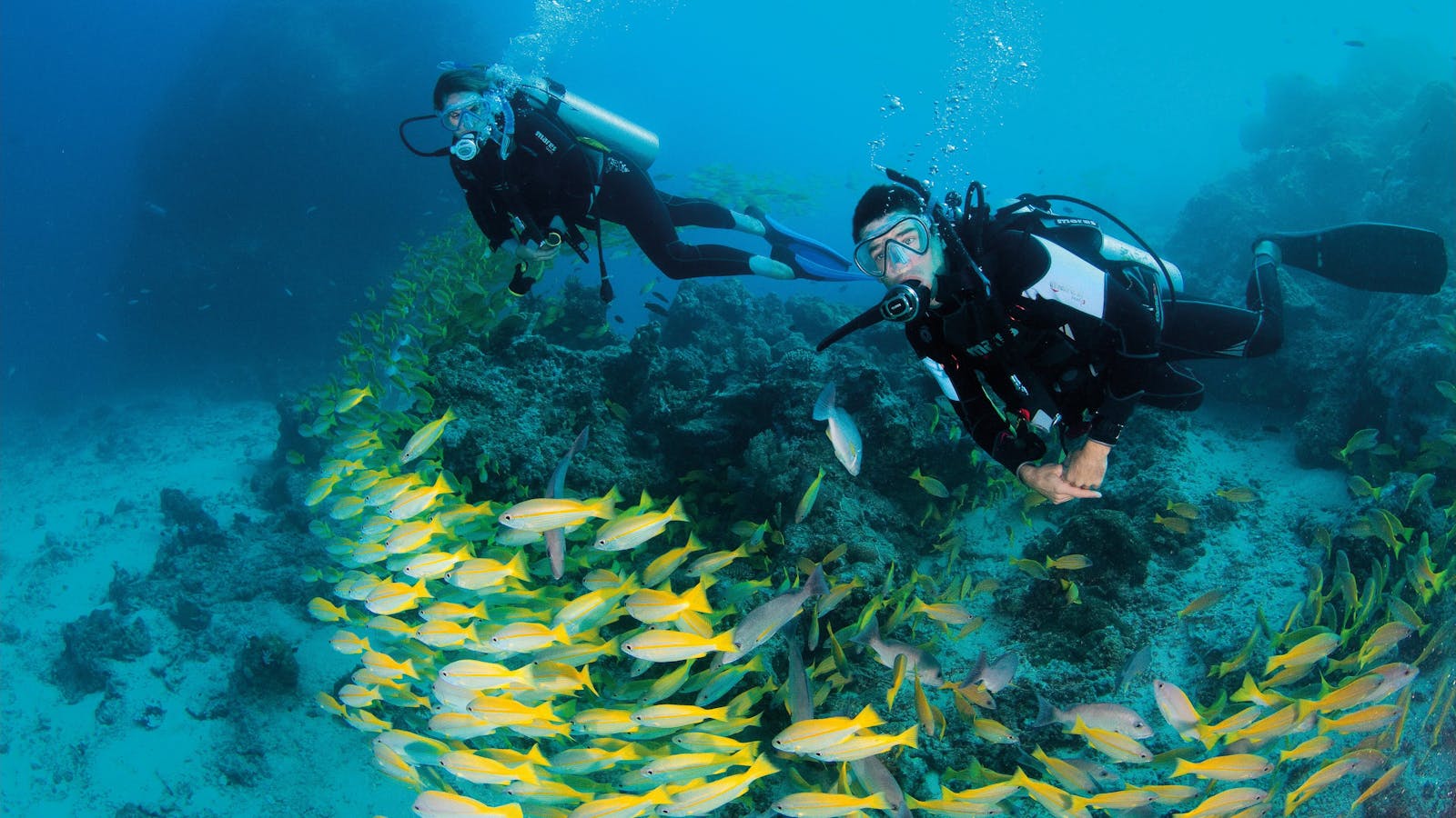 Agincourt Reef