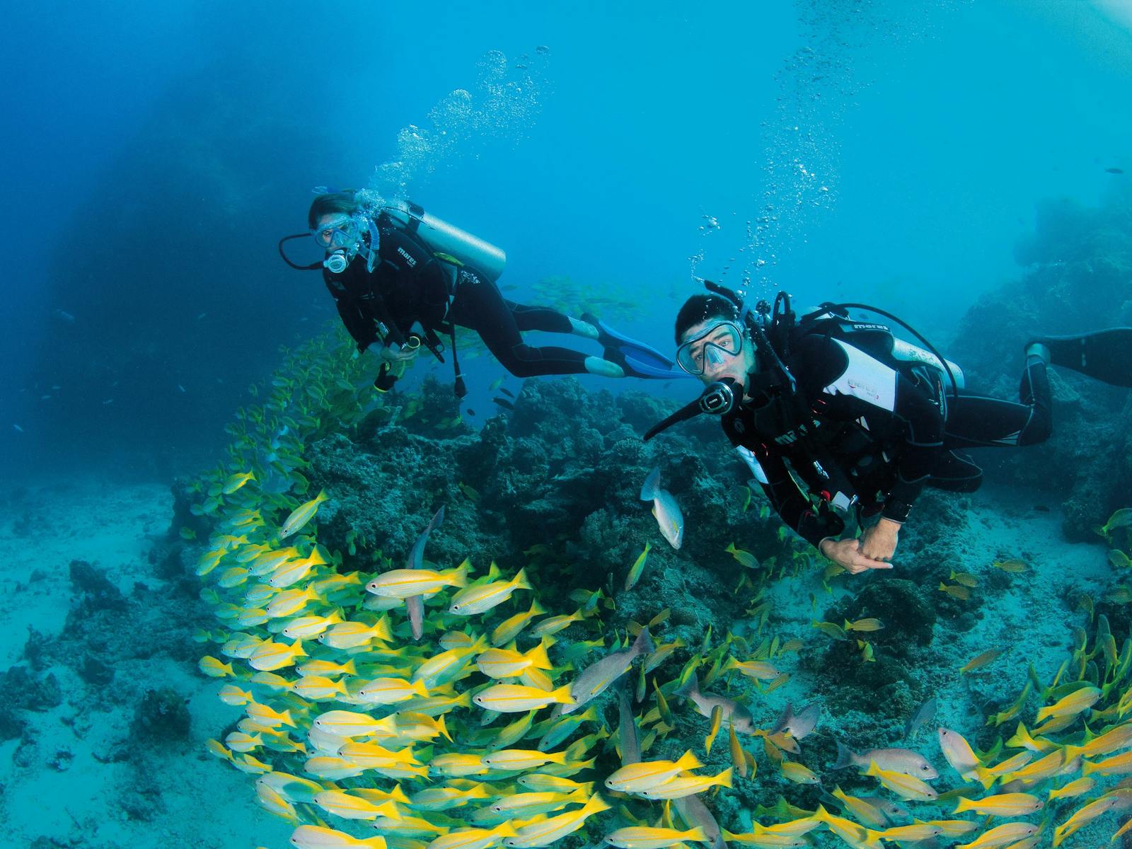 Agincourt Reef