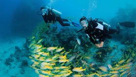 Agincourt Reef