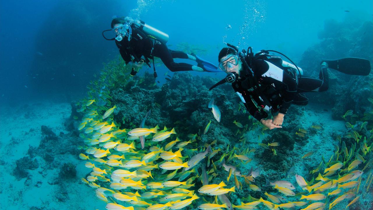 Agincourt Reef