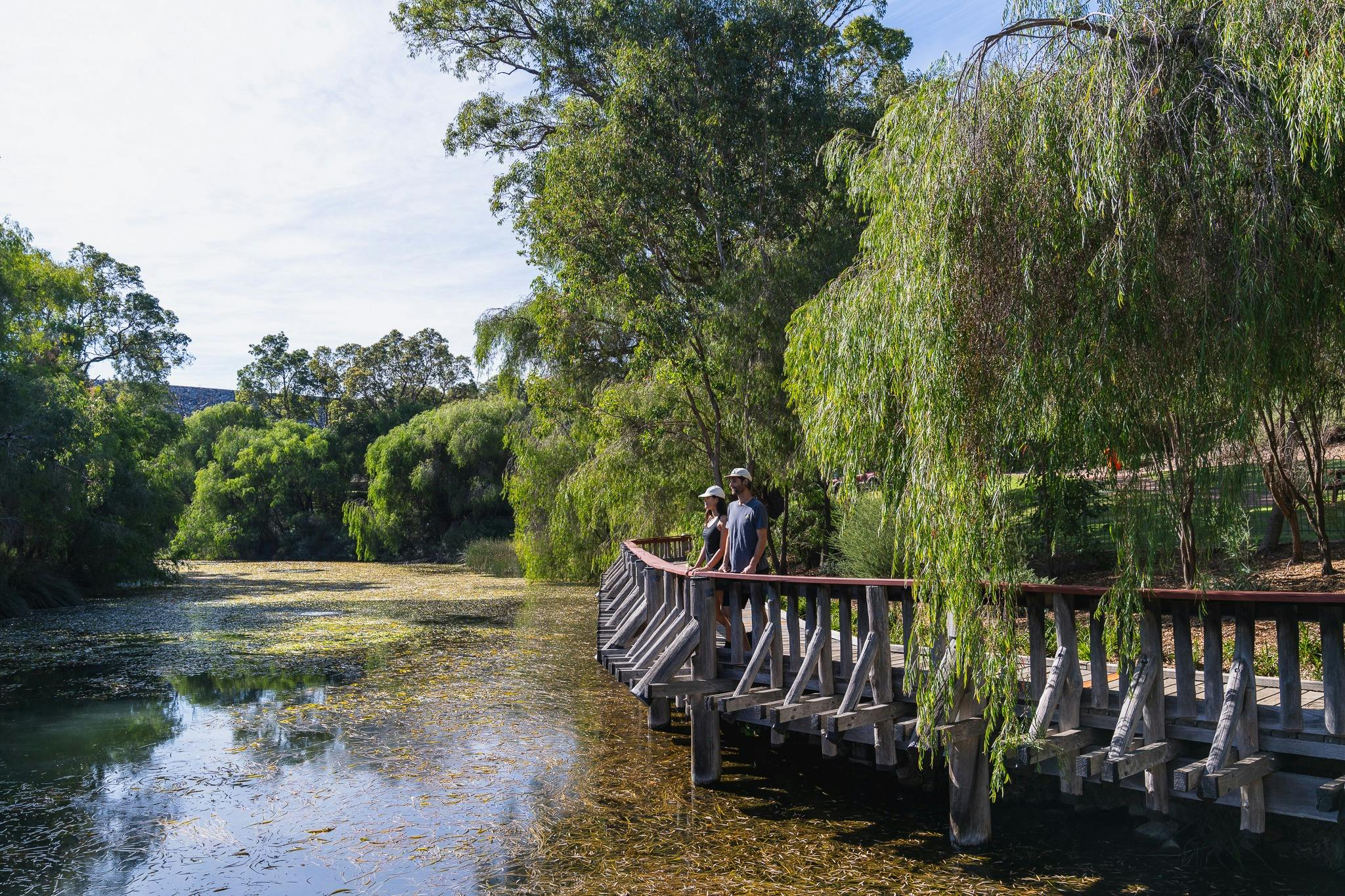 Gibbs Pool and Amphitheatre