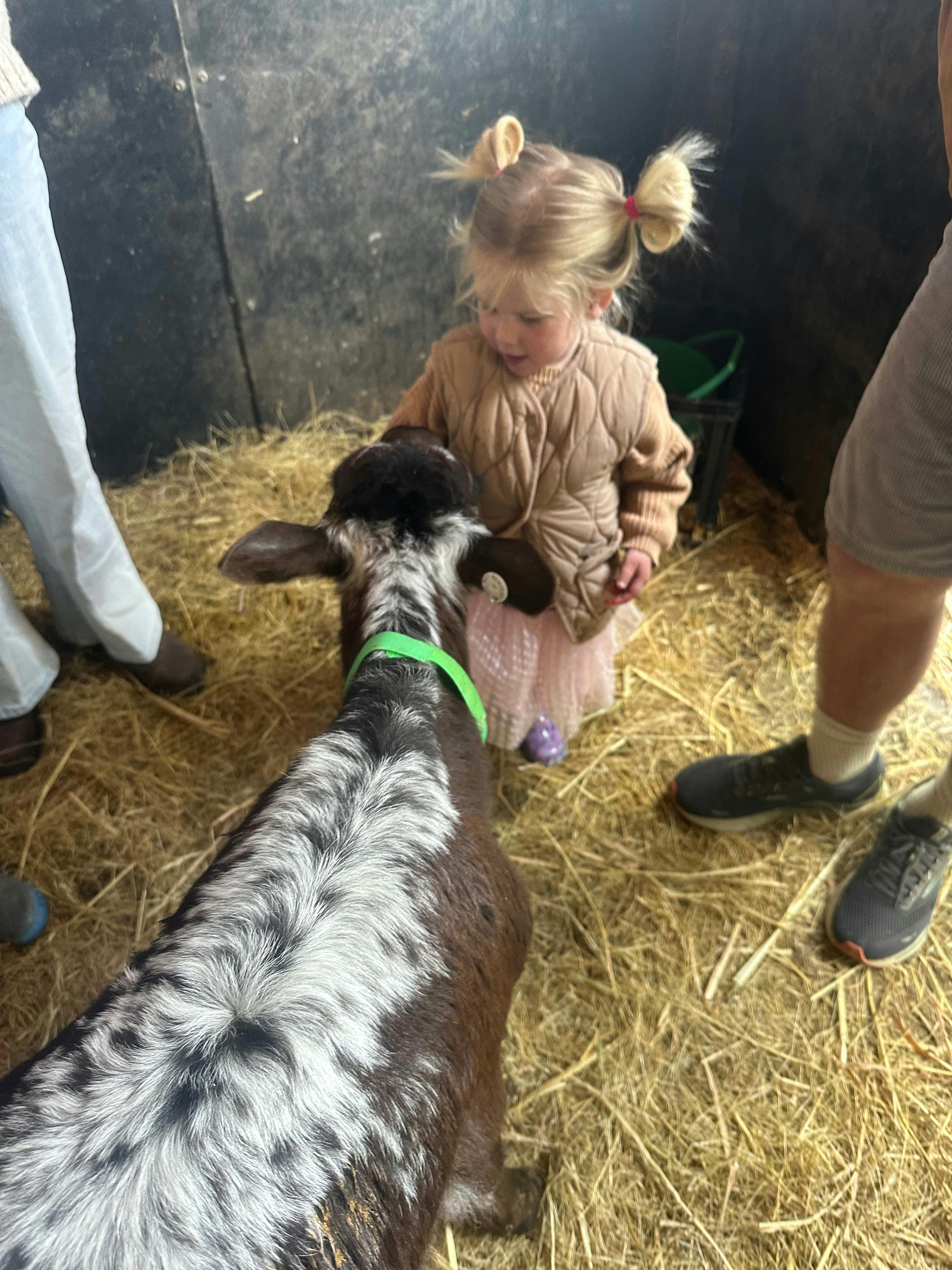 Little Explorers Animal Encounter