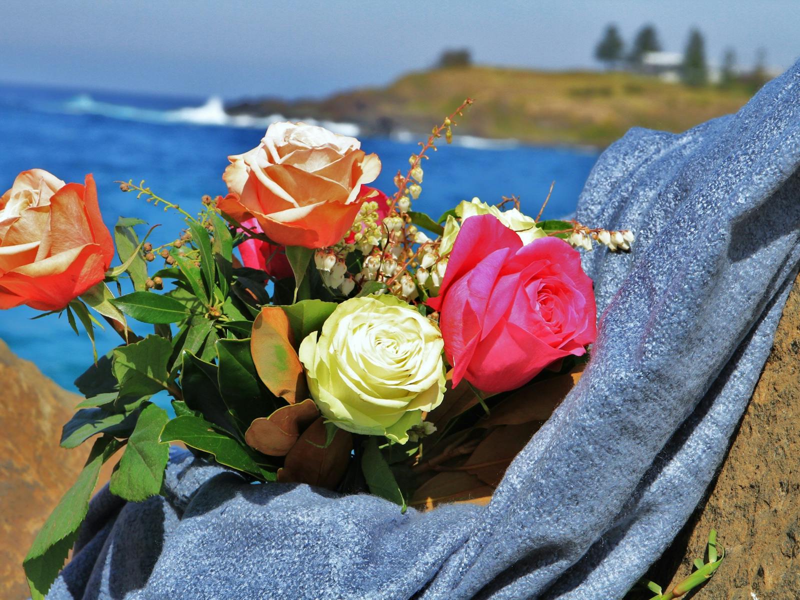 Image for Roses by the Seaside Australian National Rose Championships & Conference