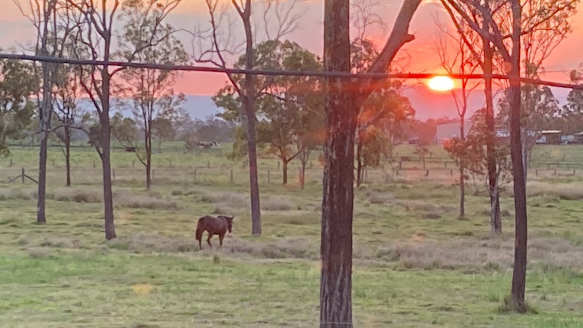 summer,sunset sargent in back ground