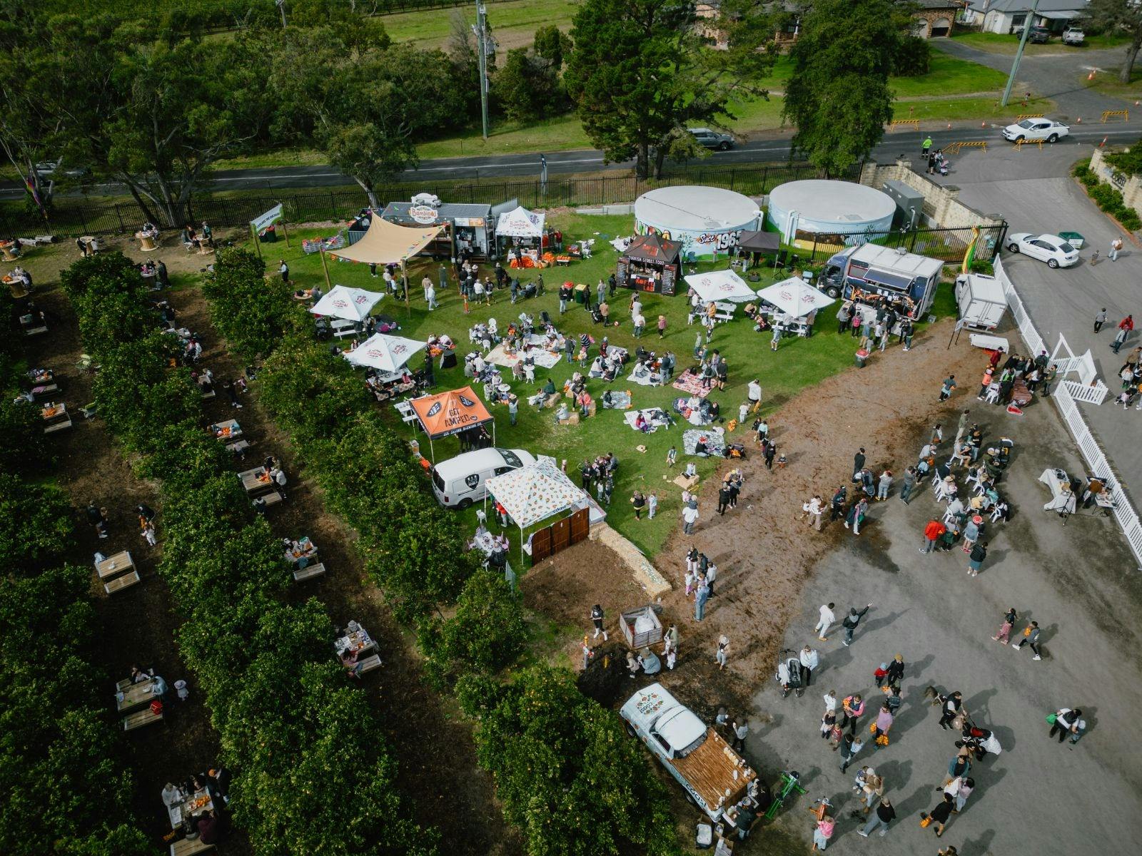 農場のバンビーノ
