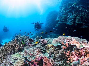 Two scuba divers swimming amongst colourful coral reef Two scuba divers swimming amongst colourful coral reef