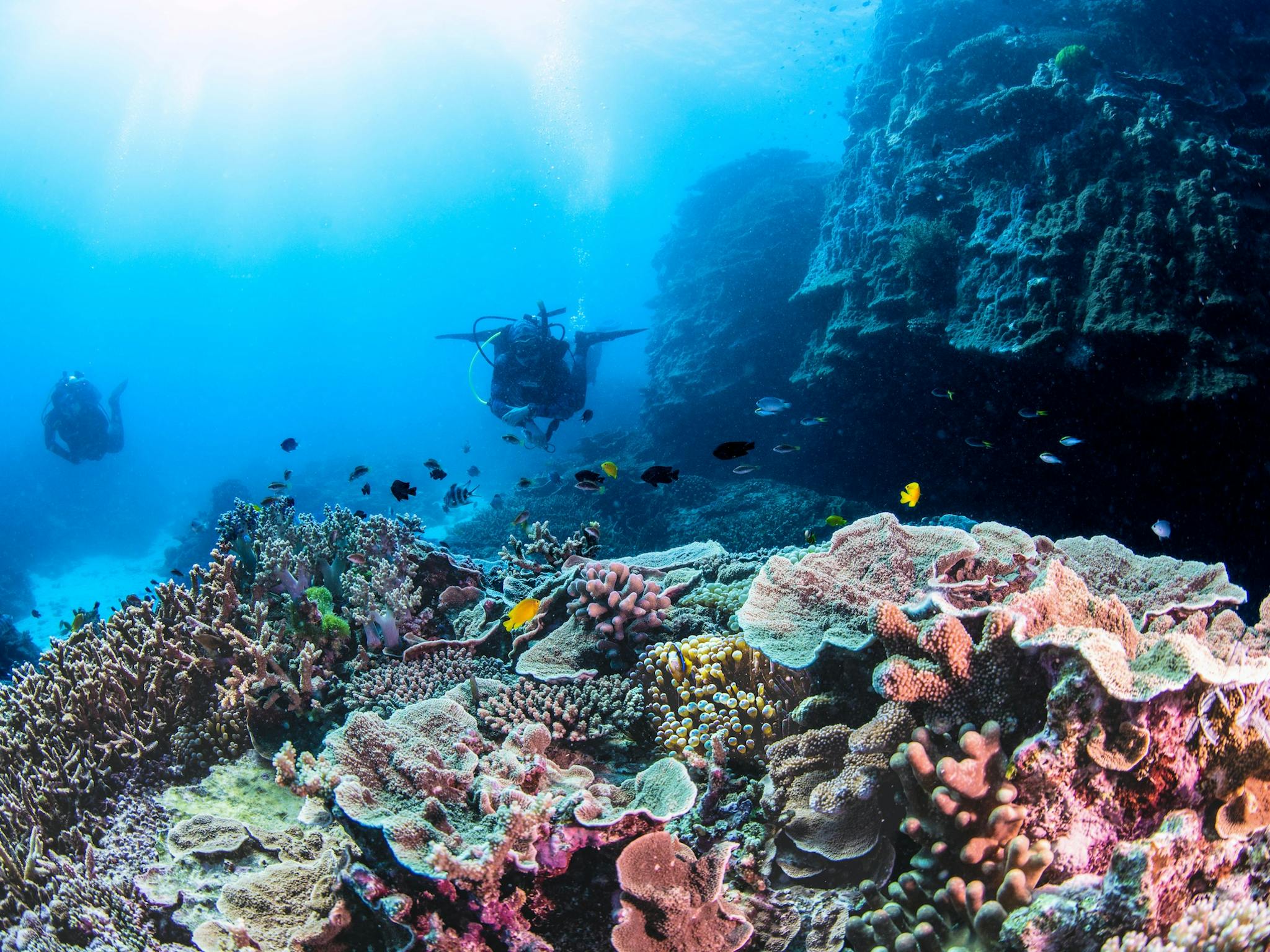 Two scuba divers swimming amongst colourful coral reef Two scuba divers swimming amongst colourful coral reef