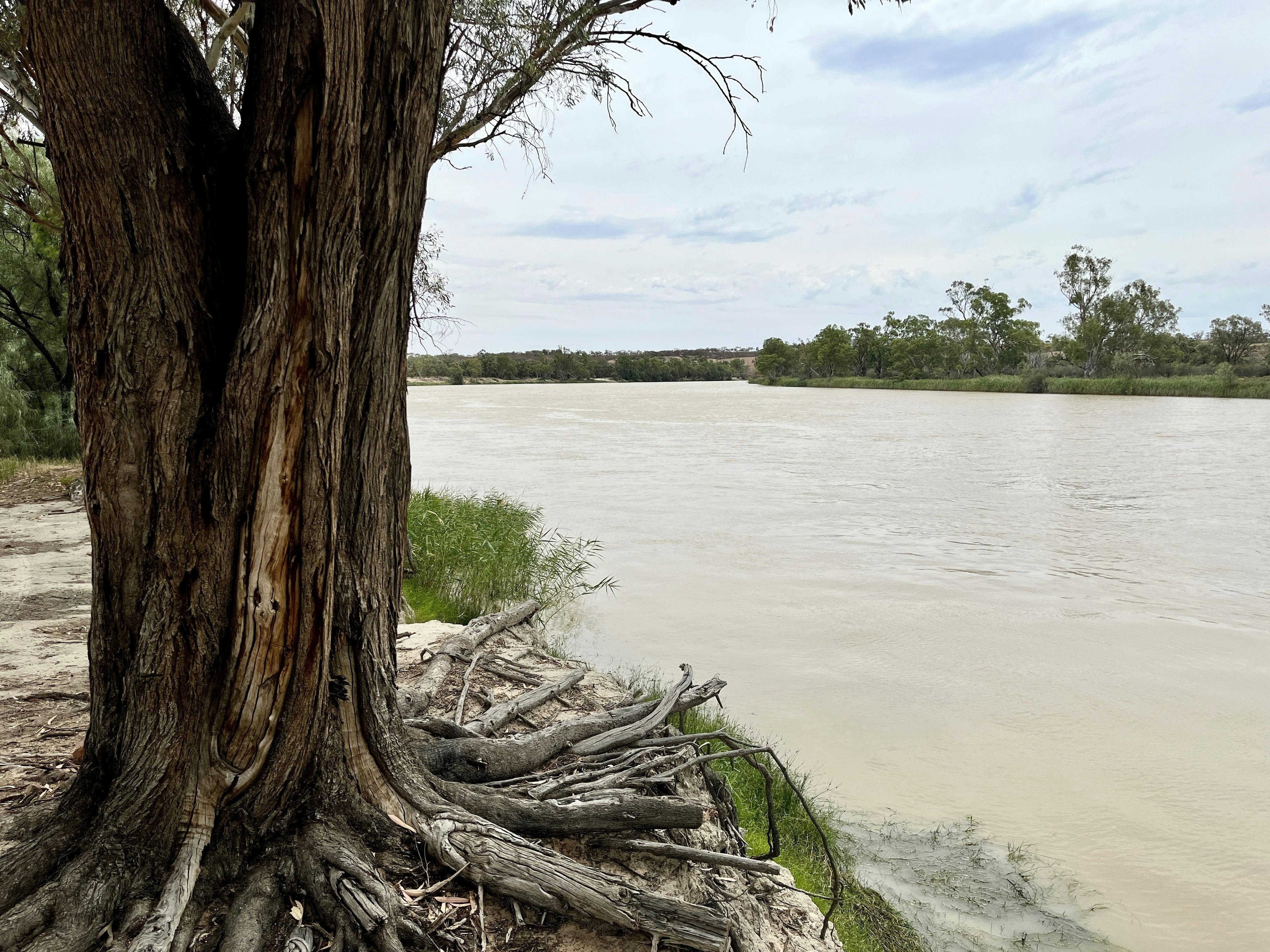 Gun Club Road Camping Area
