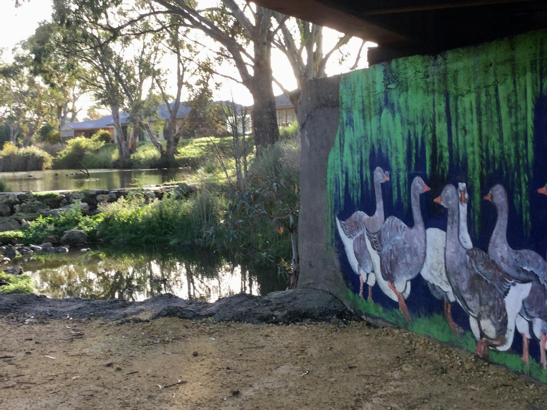 Naracoorte Creek Walk