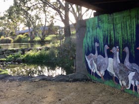 Naracoorte Creek Walk