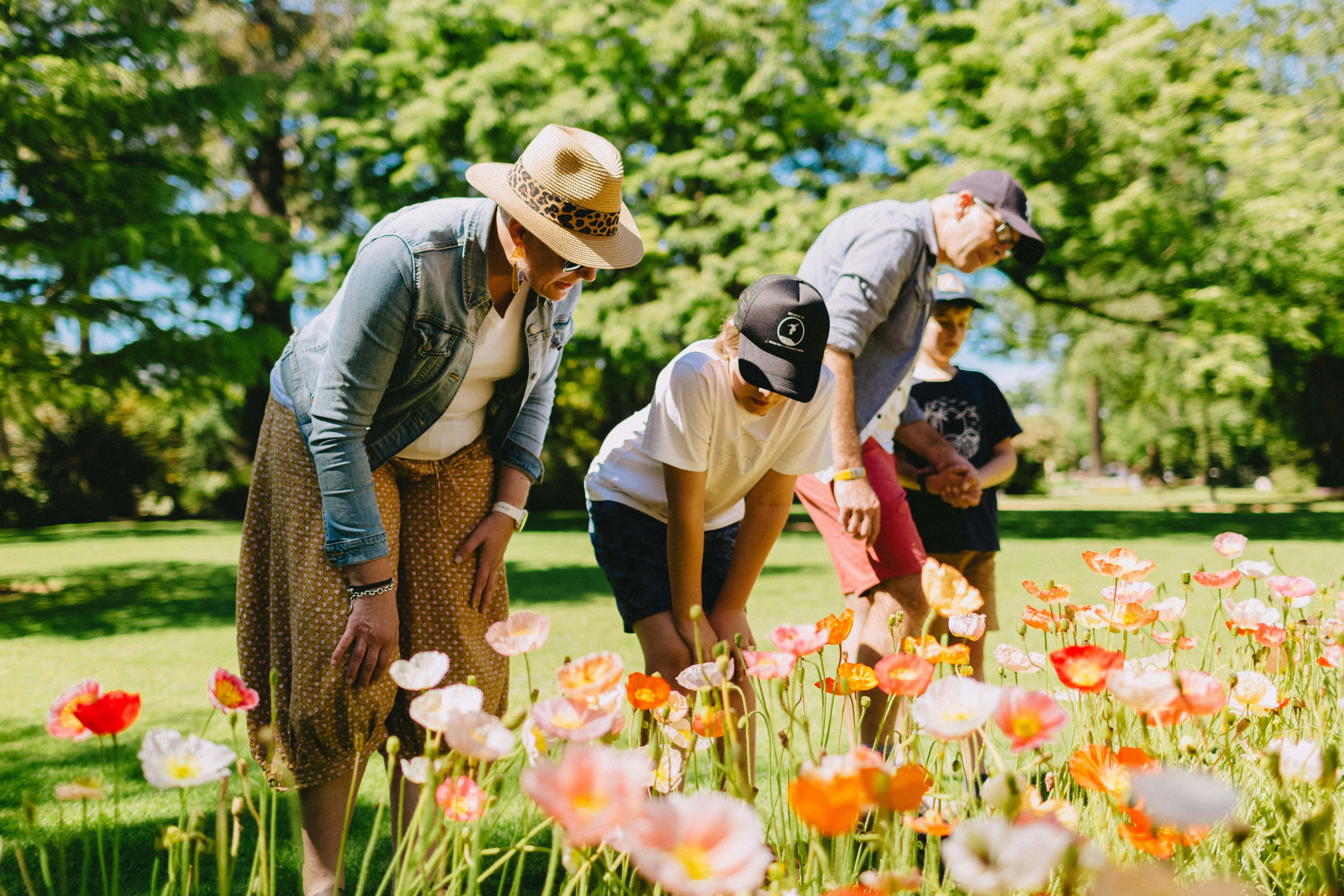 Albury Botanic Gardens - Flowers