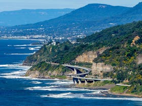 Picture Me Wollongong