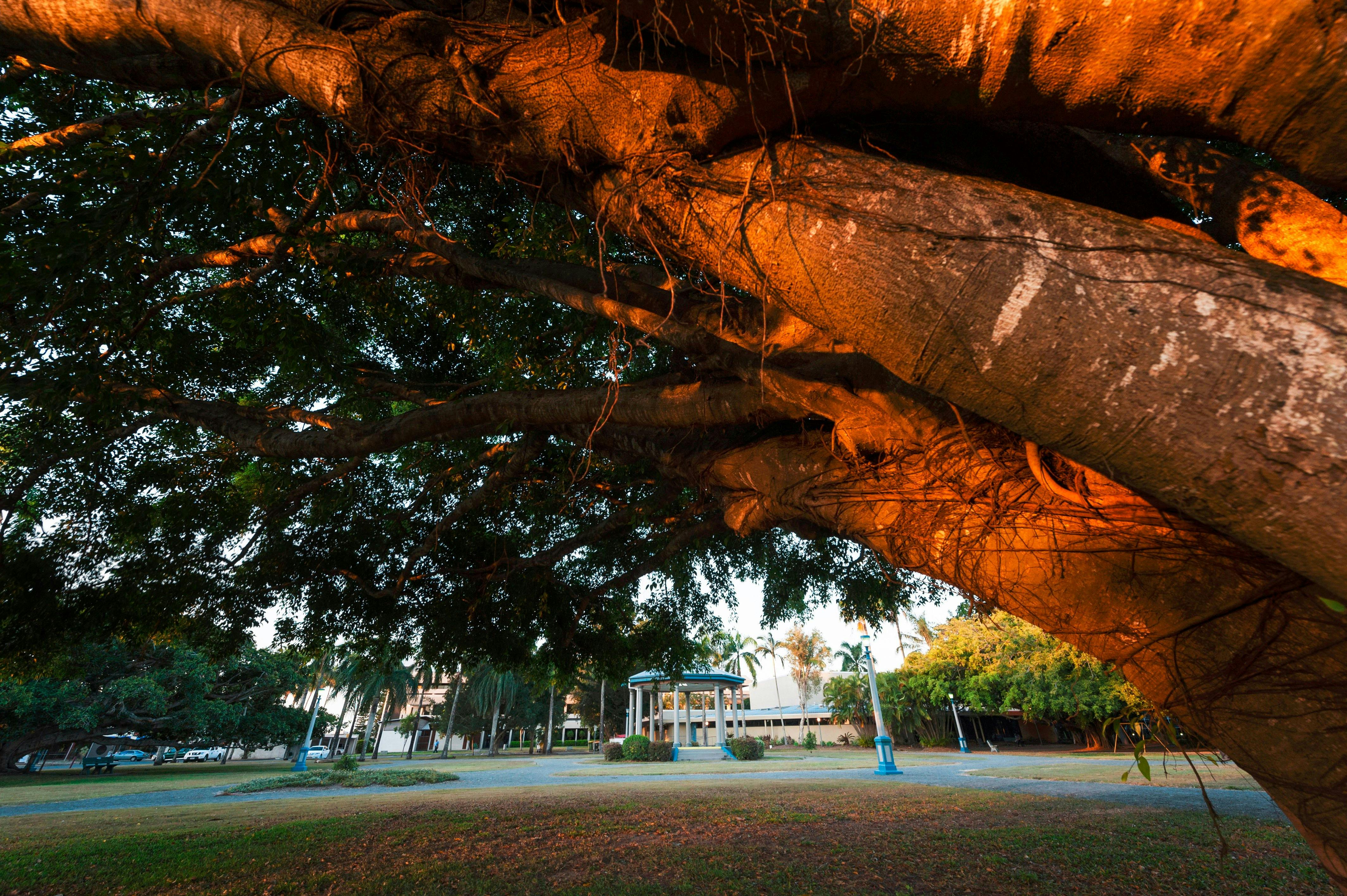 Jubilee Park, Mackay