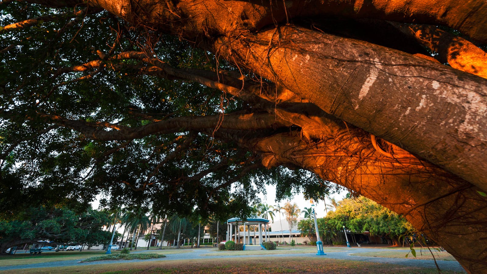 Jubilee Park, Mackay