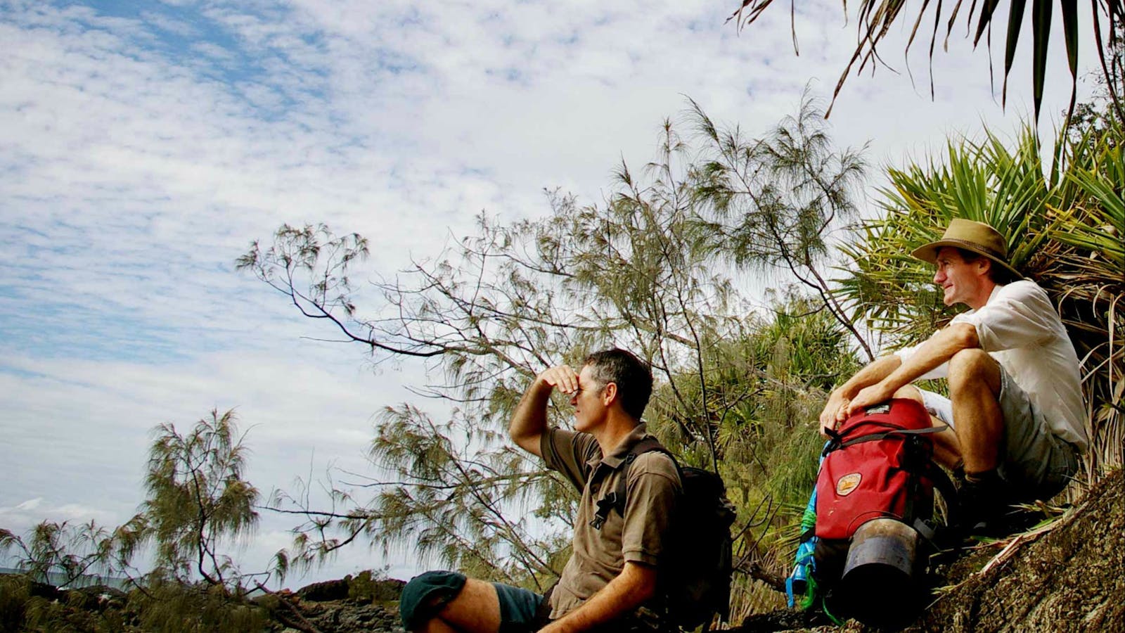 Wilsons Headland Walking Track