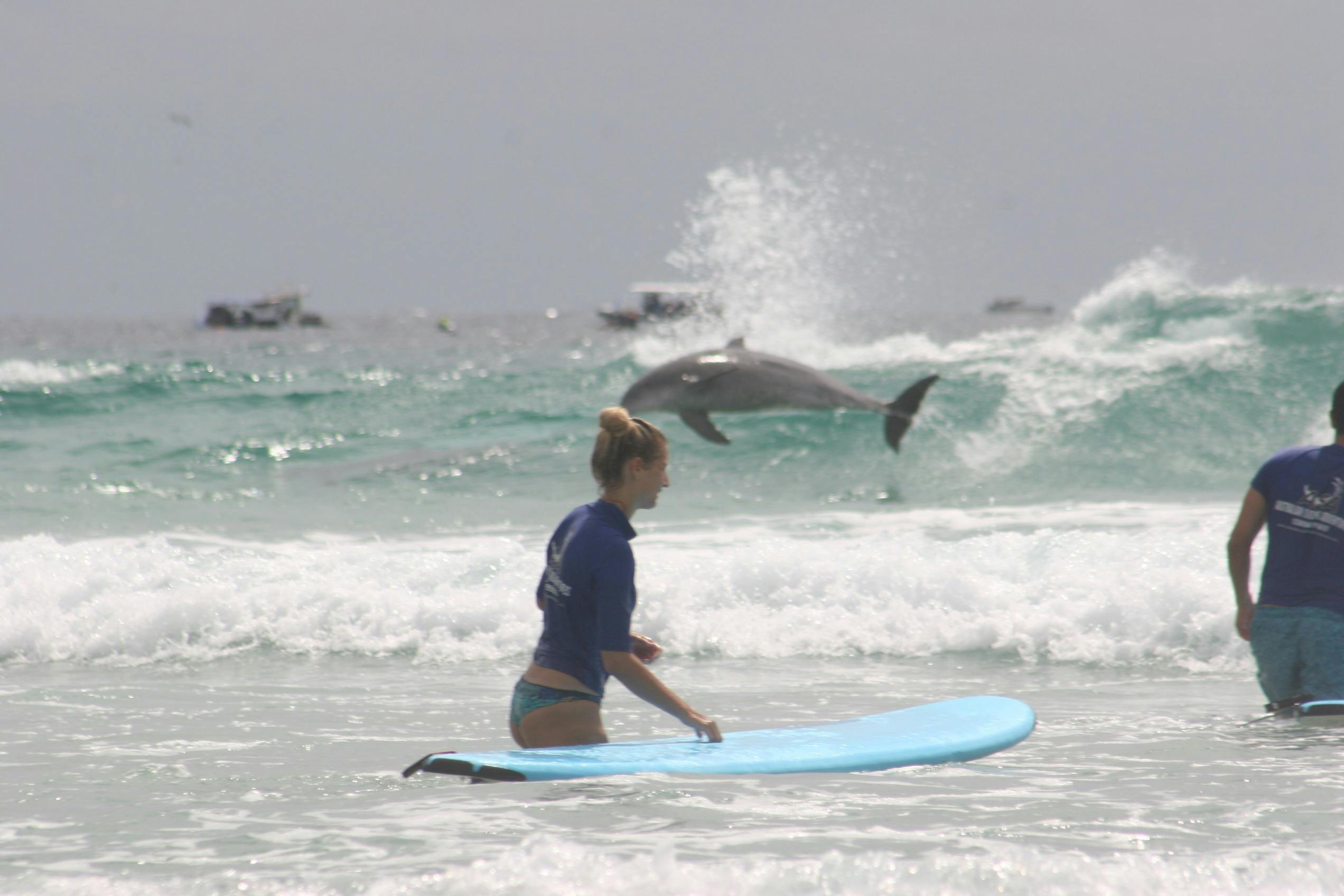 Learn to surf Lessons