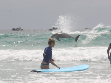 Learn to surf Lessons Learn to surf Lessons