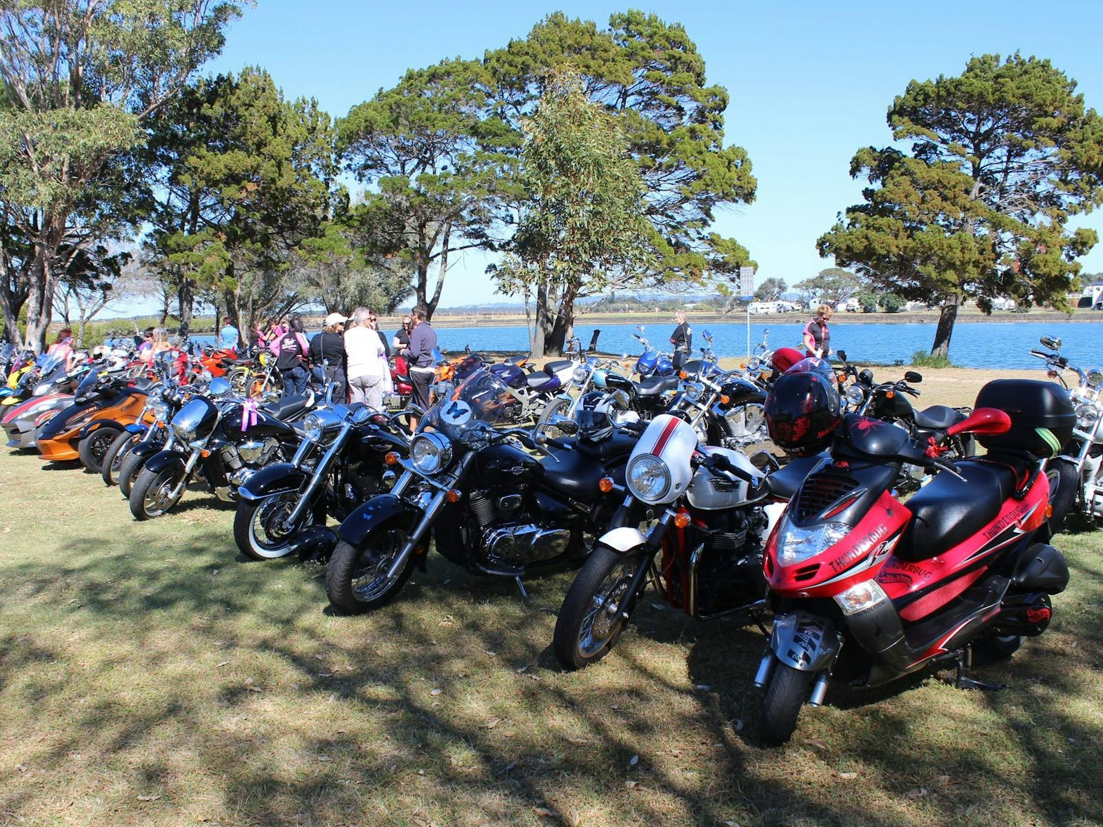 motorcycles lined up with Shaws Bay in background