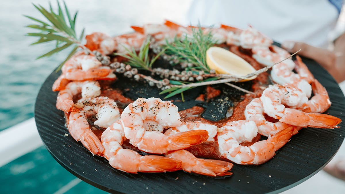 Mooloolaba Prawns Bushtucker Cruise Saltwater Eco Tours Mooloolaba Prawns Bushtucker Cruise Saltwater Eco Tours