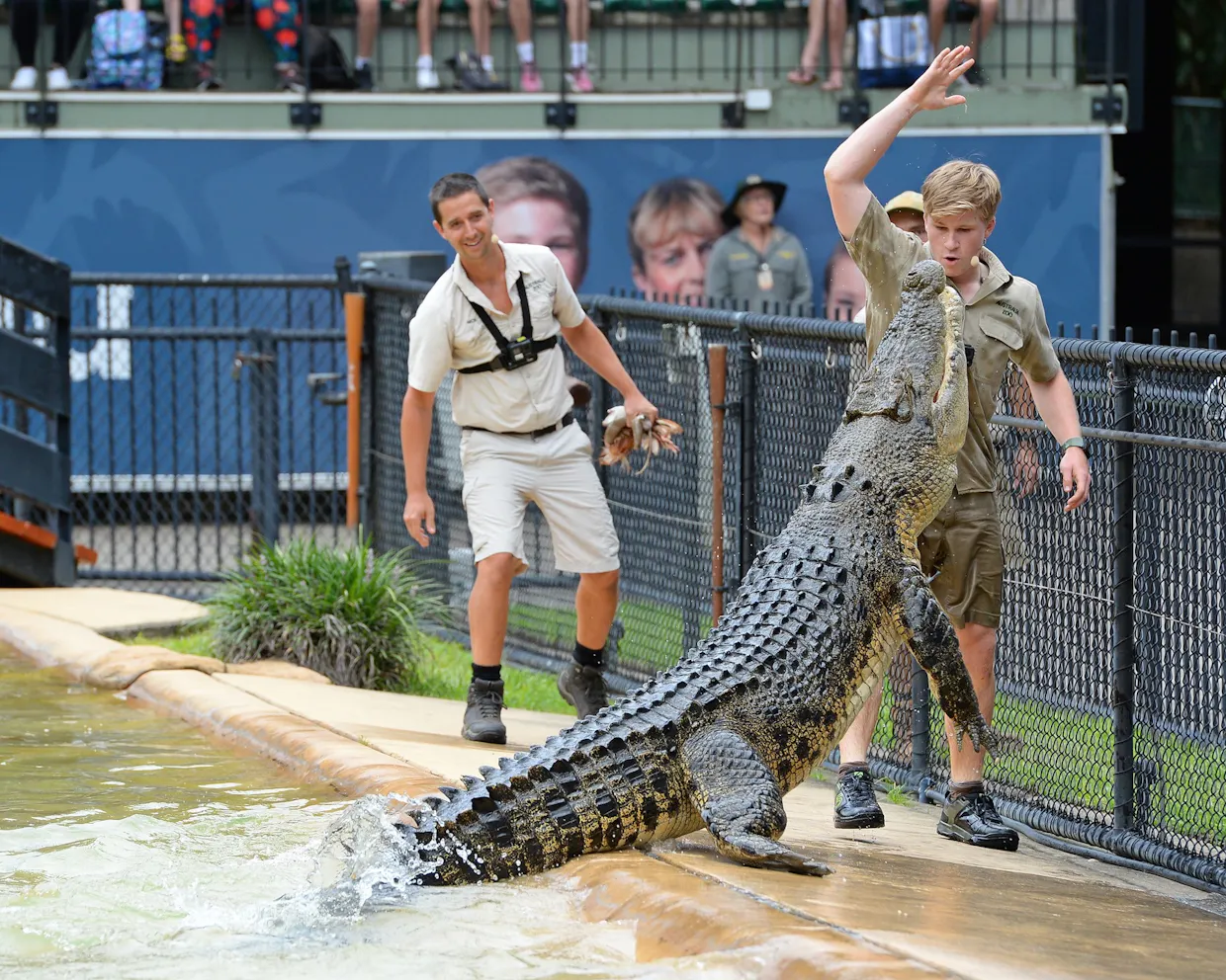 Australia Zoo Adventure Transfer and Entry Package