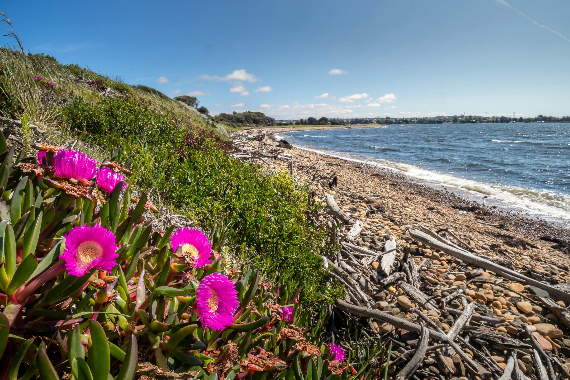 East Devonport Beach