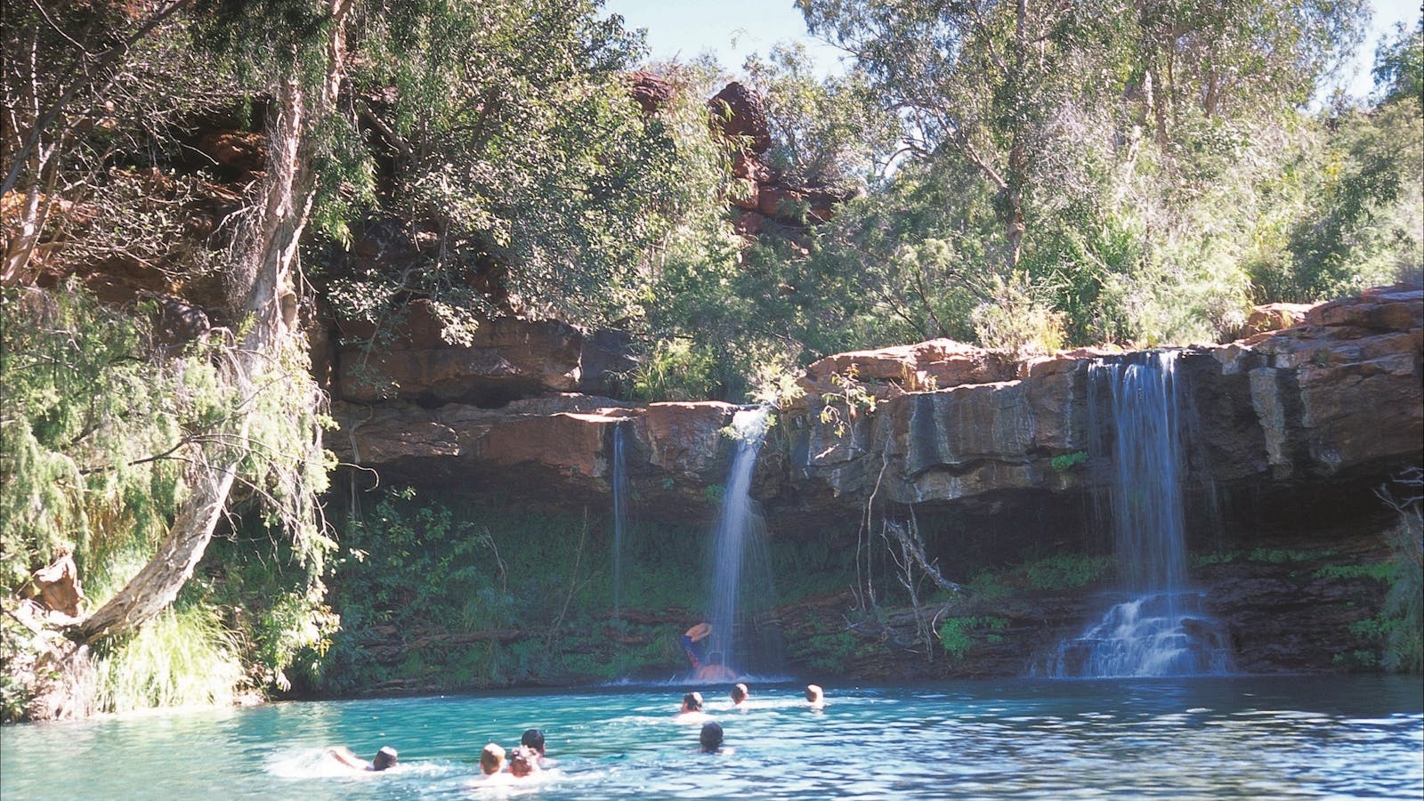 Fern Pool