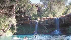 Fern Pool, Karijini, Western Australia