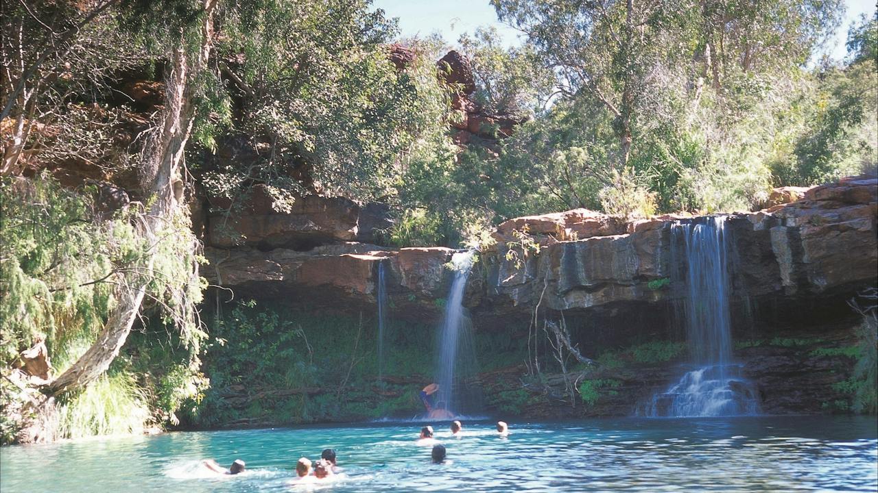 Fern Pool