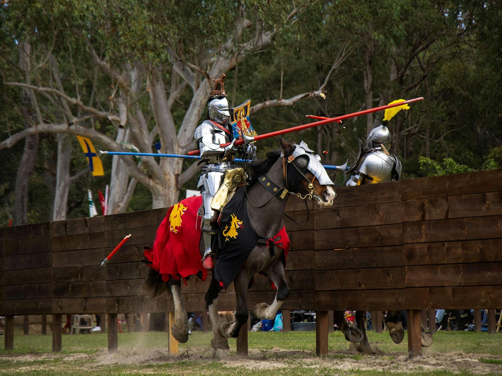 Abbey Medieval Festival - Friday Family Fun Day