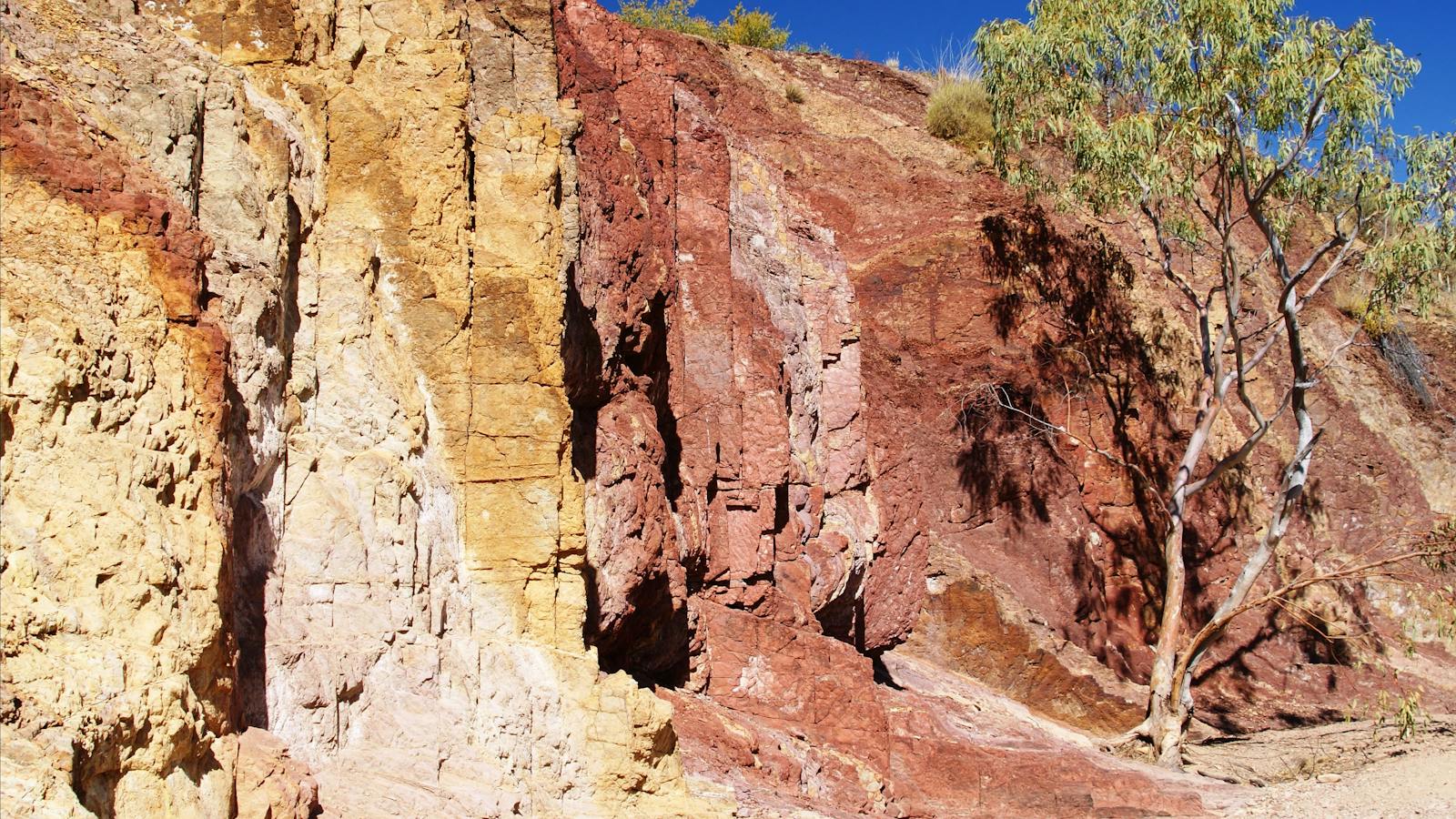 Larapinta Trail with Australian Walking Holidays / World Expeditons