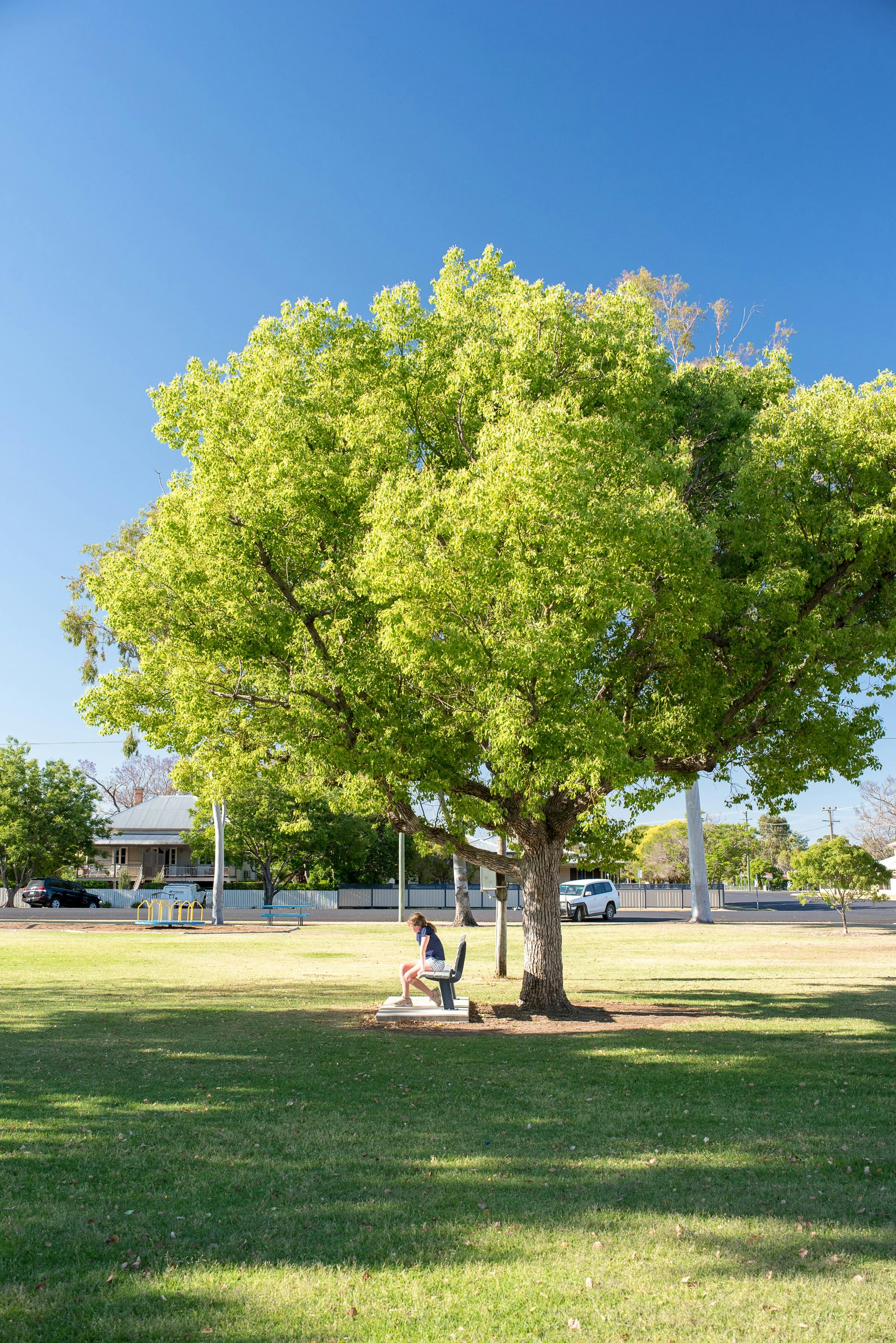 Goondiwindi Town Park