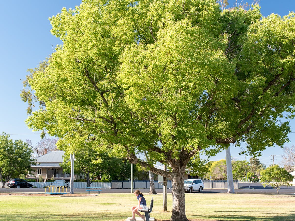 Girl sitting under a tree at the Goondiwindi Town Park