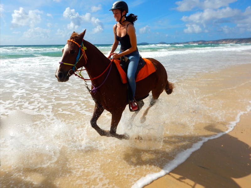 Rainbow Beach Horse Rides Tour Queensland