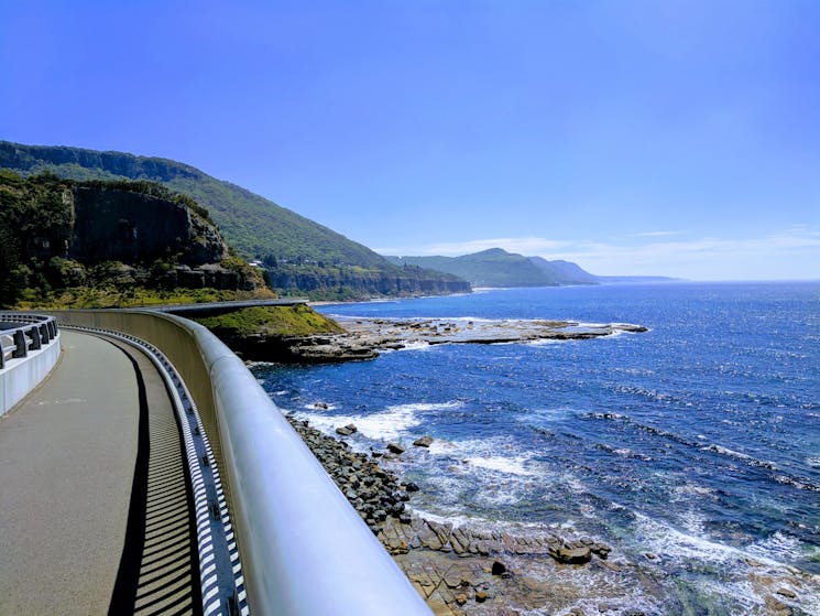 Sea Bridge, Grand Pacific Drive - Wildlife, Waterfalls and Wine full day tour from Sydney