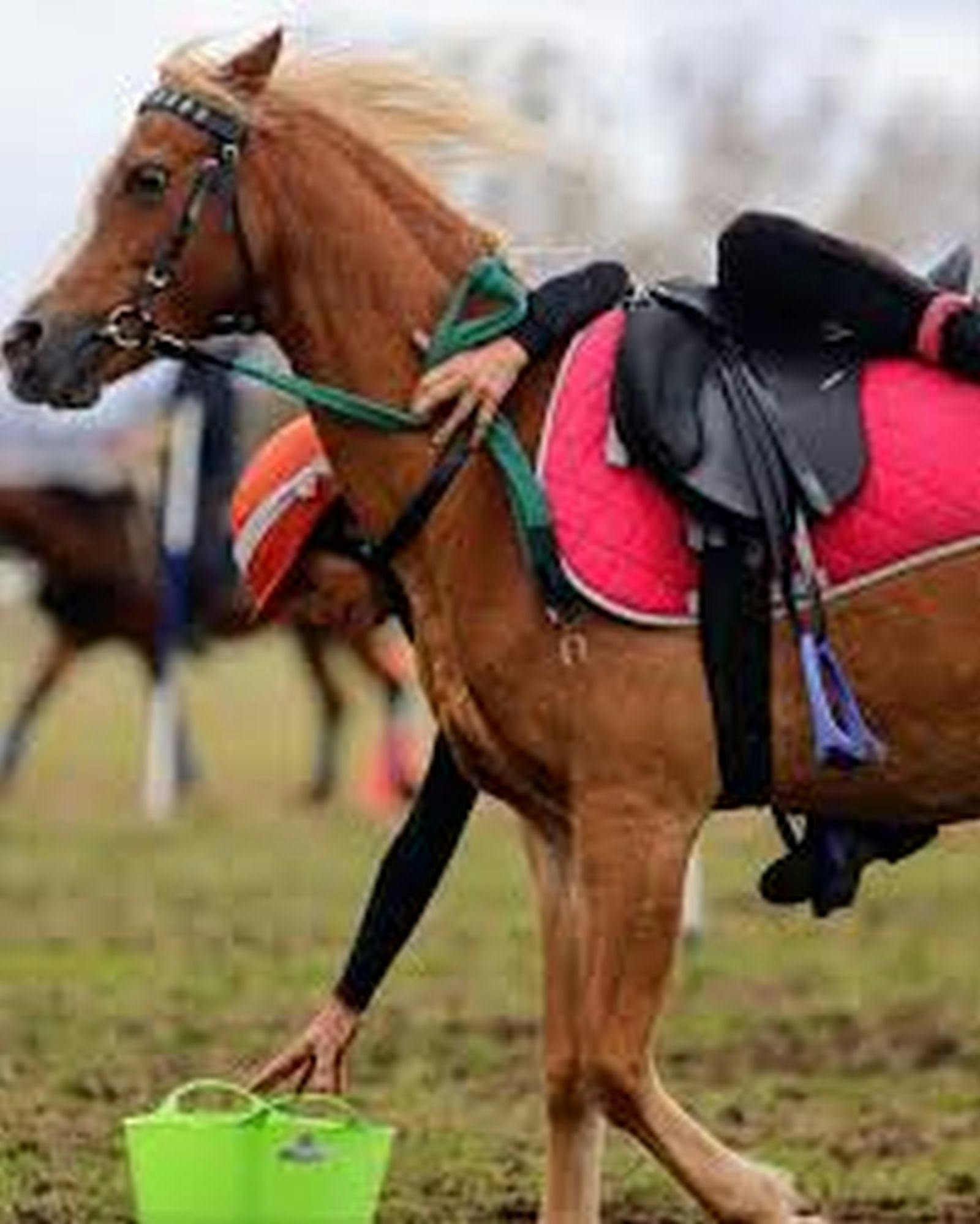 Man riding horse