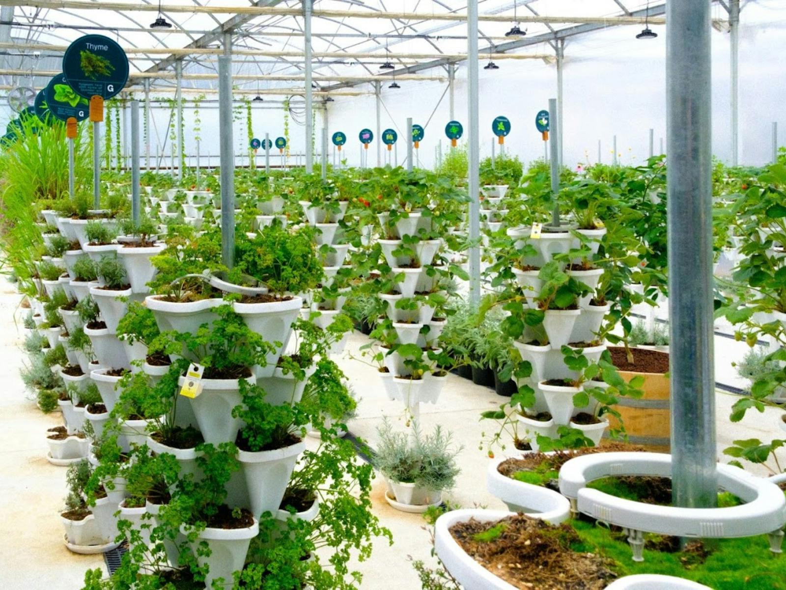 Mystery Picnic  Yarra Valley