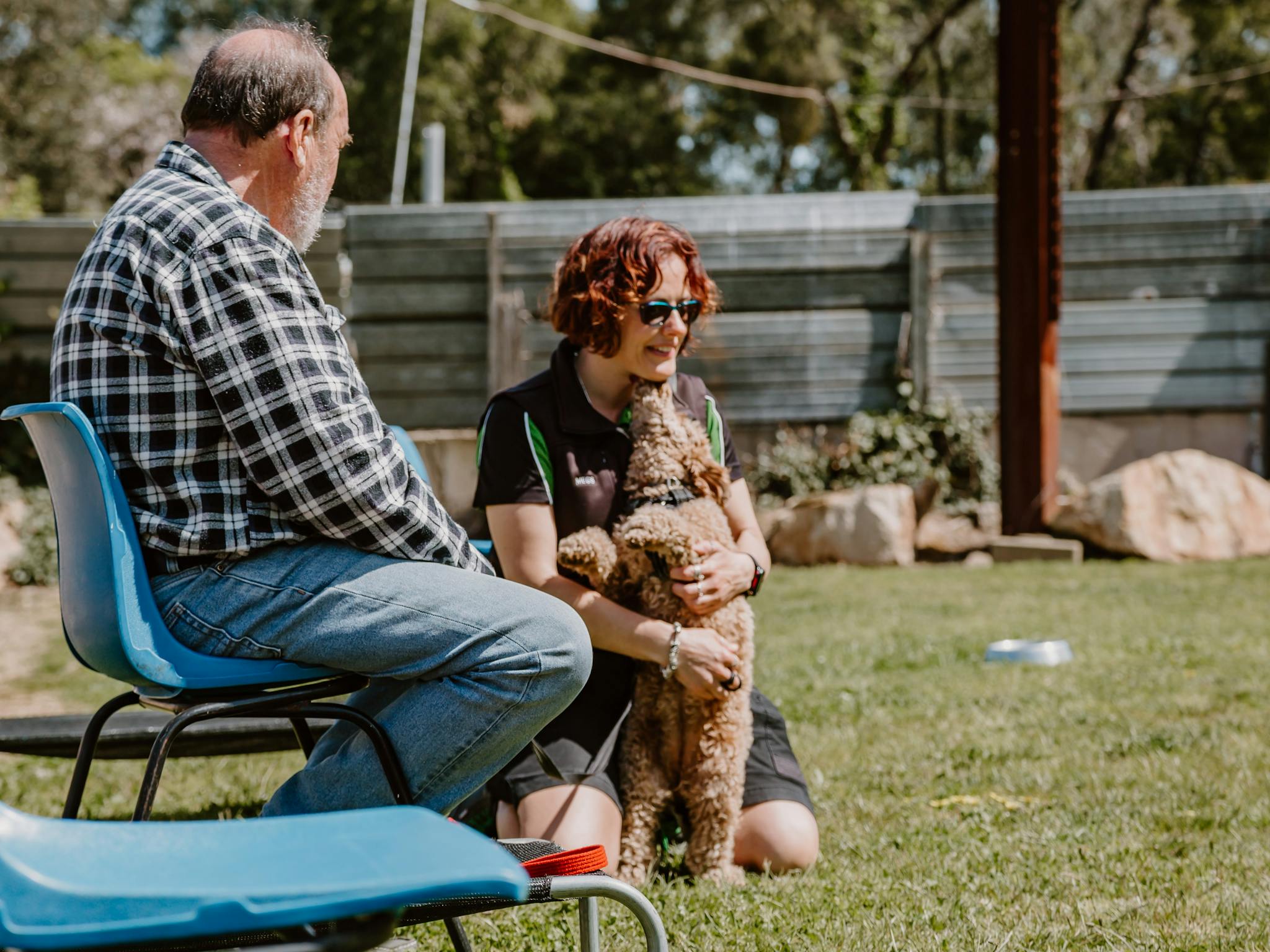 Dog hugging a person