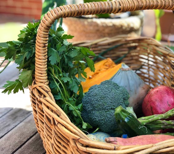 Sprout Market to Plate